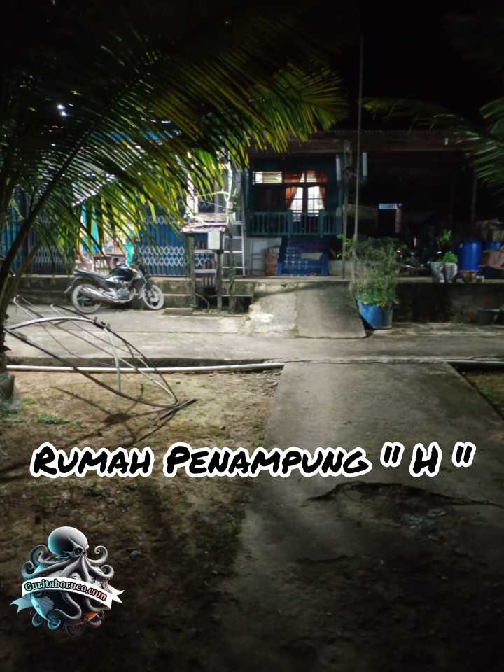 InShot_20240621_160305294_C4SIhQxU4d