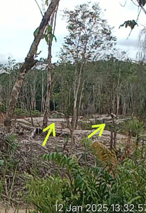 IMG-20250112-WA0022