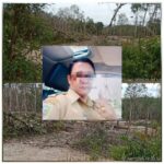 IMG-20250119-WA0045_ZCqhXdUN5y